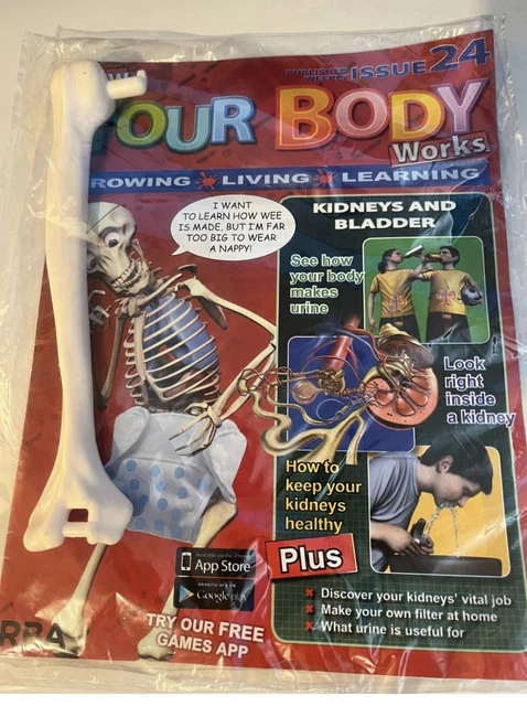 Bodywork Magazine HOW YOUR BODY works magazine 22 Issues New Sealed £9.99 - PicClick UK