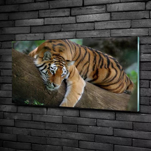 Decoración Moderna Para Sala De Estar Cuadros Vidrio  100x50 Tigre en el árbol