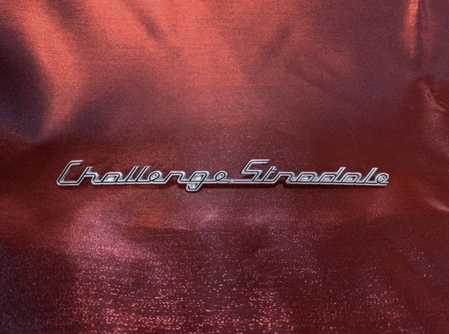 NOS NIB NLA Genuine Ferrari 360 Challenge Stradale Rear Grille Emblem 2