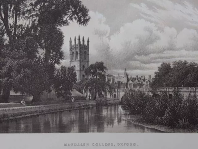 1895 Magdalen College print. Antique. Ideal For framing. Oxford University.