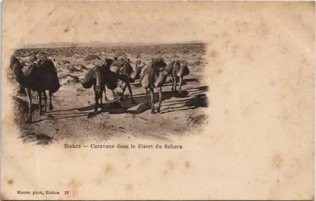 CPA AK BISKRA Caravane dans le Desert du Sahara ALGERIE (1146527)