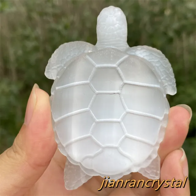 3" Natural Selenite turtle Hand Carved Tortoise Quartz Crystal Skull Healing 1pc