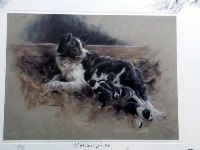 Border Collie Dog Mick Cawston Limited Edition Print Mothers Pride 396/500