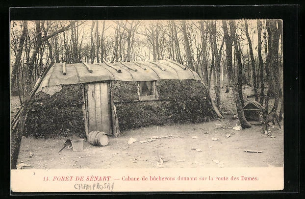 CPA Foret de Senart, Cabane de bucherons donnant sur la route des Dames, Forstw