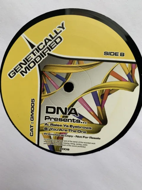 GENETICALLY MODIFIED  - DNA  Raise Ya Eyebrows - Hard House Donk -  12” DJ Vinyl