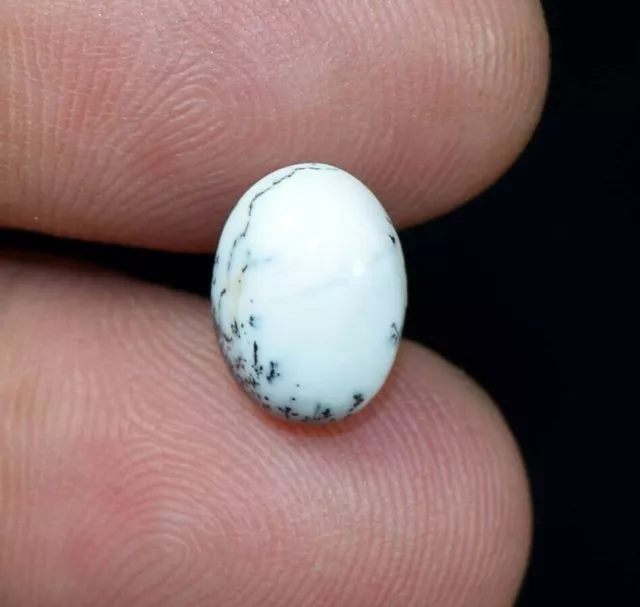 3,30 cts. Pierre précieuse cabochon ovale en opale de dendrite 100 %...