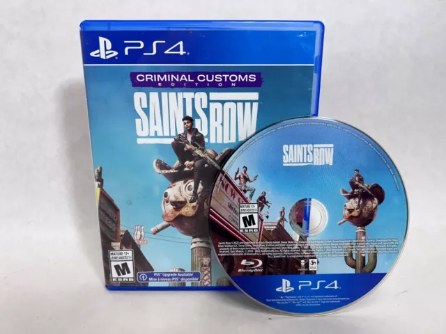Saints Row Criminal Customs Edition for Sony Playstation 4 (HE3027616)