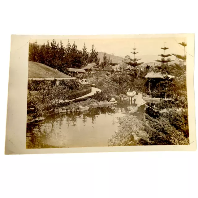 Rare RPPC Hollywood Pagoda Lake Gardens &More Lot Los Angeles Vtg Photo Japanese