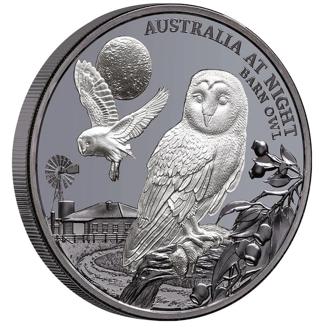 Silbermünze Schleiereule Australien bei Nacht (7.) - 2022 - Niue - 1 Oz BP