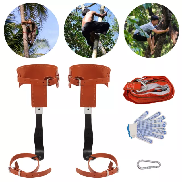 Tree Climbing Spikes Set Tree-climbing Leggings Strap Rope Pole Safety Belt Set