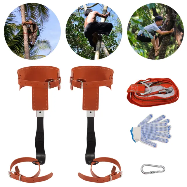 Tree Climbing Spikes Tree-climbing Legging Strap Rope Pole Safety Belt Set 200kg