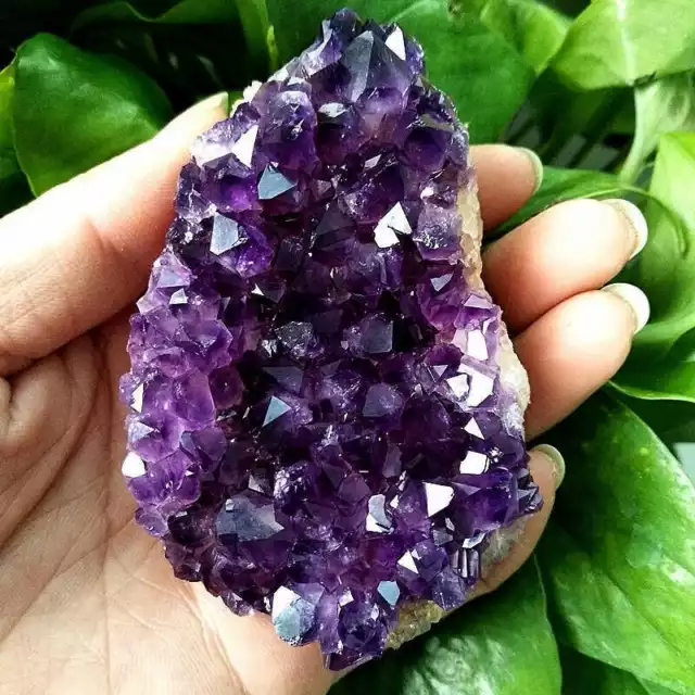 80-100g Big Natural Amethyst Cluster Quartz Crystal Druzy Geode Stone Healing