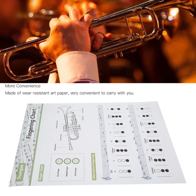 TRUMPET CHORD CHART Fingering Note Music Instrument Reference Guide For ...