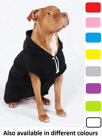 Staffy clothing clearance