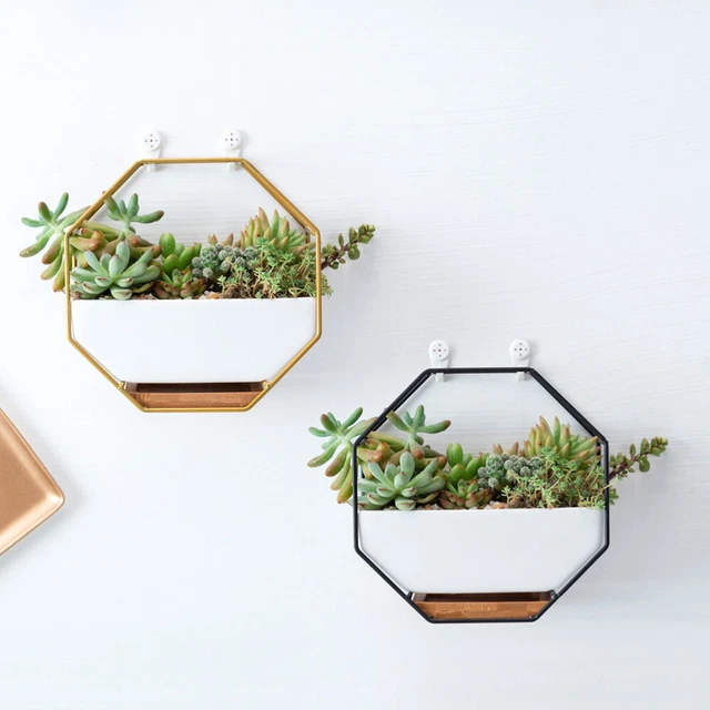 Octagonal Geometric Storage Rack Hanging Wall Glass 8