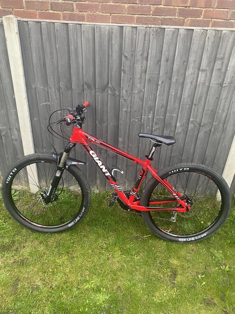 Giant talon 4 2025 medium