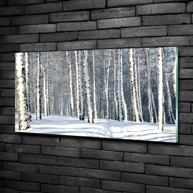 Wandbild aus Plexiglas® Druck auf Acryl 100x50 Blumen & Pflanzen Winterwald