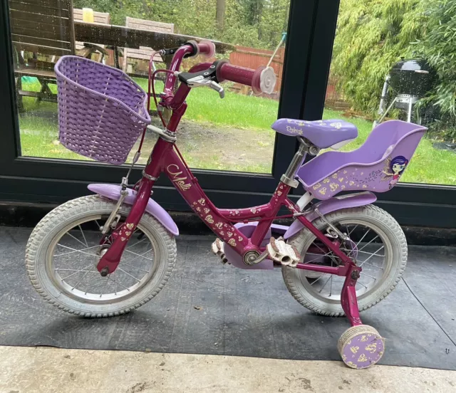 RALEIGH MOLL14PK MOLLY 14