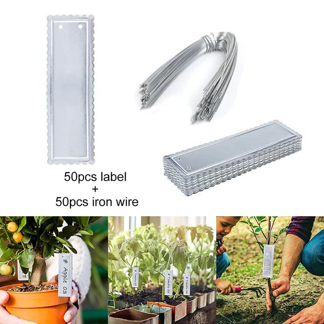 Étiquette D'identification D'arbre En Aluminium Robuste, étiquettes En Métal Double Face, étanche, Fil De Fer, étiquettes De Plantes à Enrouler Autour Des Marqueurs De Jardin à Suspendre