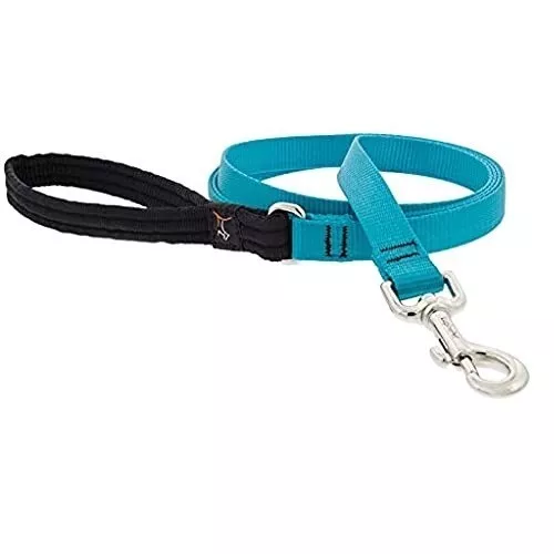 Lupine Pet Basics 1 inch Aqua 6 foot Padded Handle Leash for Med/Lrg Pets