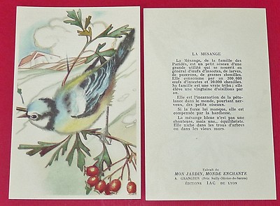 CHROMO 1960-1970 IAC BON-POINT IMAGE ECOLE JARDIN MONDE ENCHANTE GRILLON 