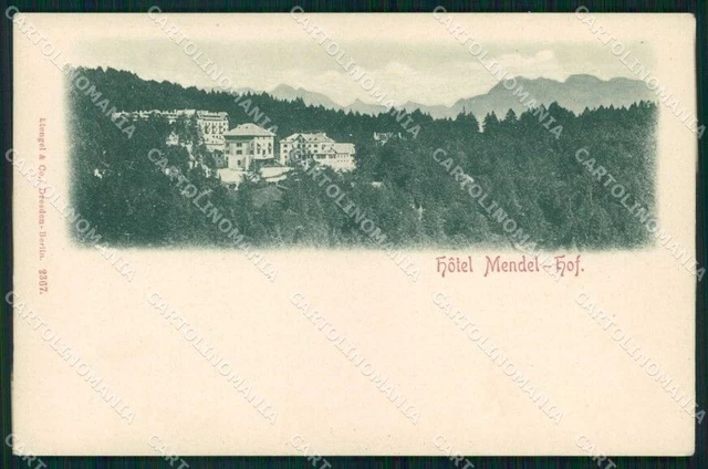 Trento Passo della Mendola Hotel Stengel 2367 cartolina RB8916