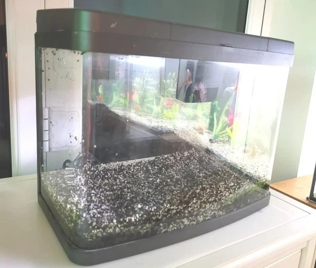 Love Fish Panorama Aquarium 40 litre panoramic fish tank Inc light