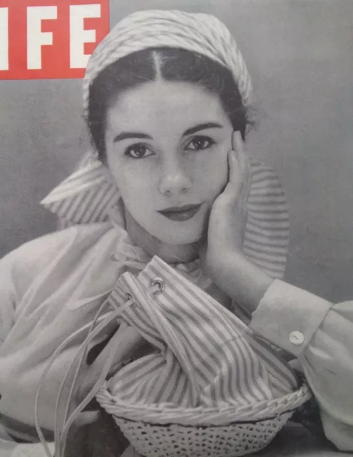 Life Magazine Cover Only Original Rare Vtg 1940s Basket Pretty Girl Parker Pen