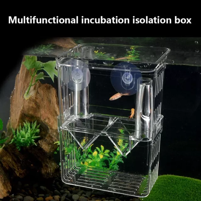 Acrylic Fish Tank Breeding Box Baby Fish Separator Aquarium Isolate Hatchery