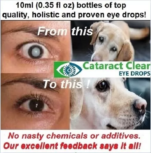 Super & proven holistic cataract eye drops. 2% strength N-Acetyl-Carnosine (NAC)