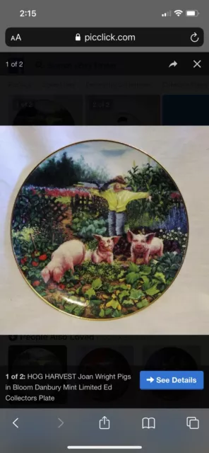 HOG HARVEST Joan Wright Pigs in Bloom Danbury Mint Retired Collectors Plate New