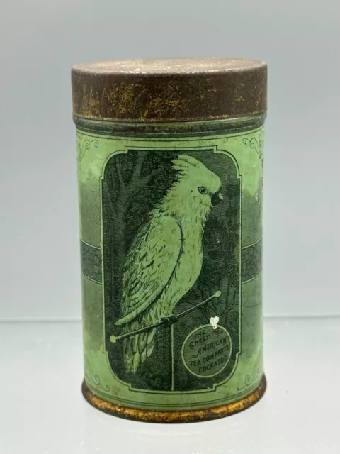 Antique GREAT AMERICAN Tea Co COCKATOO Cinnamon SPICE TIN Green Bird