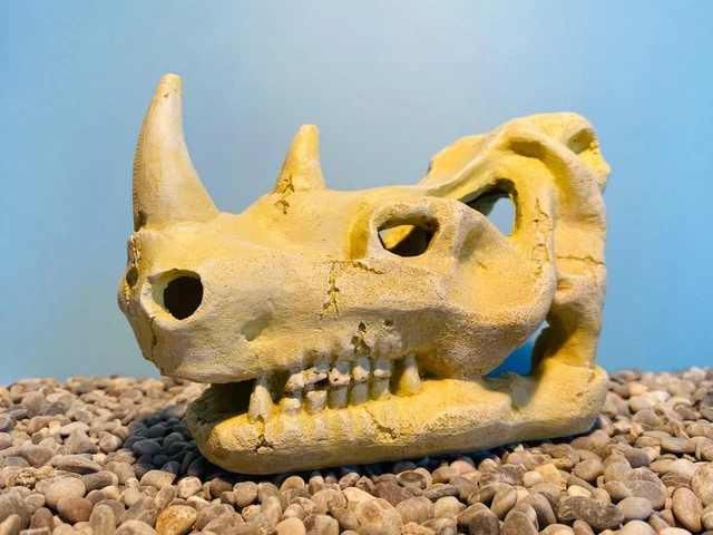 Dinosaur Skull Head Decoration Aquarium Swim Through Fish Tank Ornament DNX3