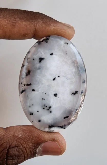 TOP RARE!! Natural Dendrite Opal Agate Oval Cabochon Loose Gemstone 56X53 MM I57