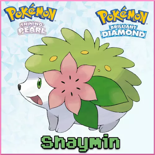 6IV Shiny Shaymin Sky Forme Pokemon Brilliant Diamond and Shining Pearl