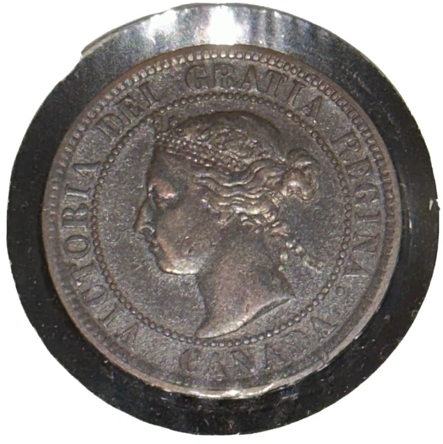 1901 Canada Large Cent One Coin Rare Canadian 1 Penny Queen Victoria Bronze KM#7
