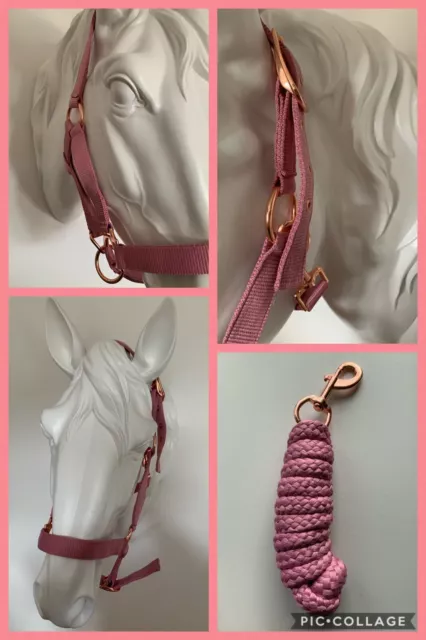 Headcollar and Lead Rope Set, Rose Gold & Pink, COB, FREE UK Postage