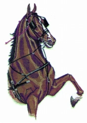 Embroidered Ladies T-Shirt - Harness Horse BT2338 Sizes S - XXL