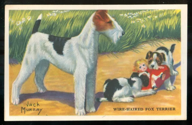 1940s WIRE HAIRED FOX TERRIER Dog Cereal Card KELLOGGS F273-6 USA Dog Breed Card