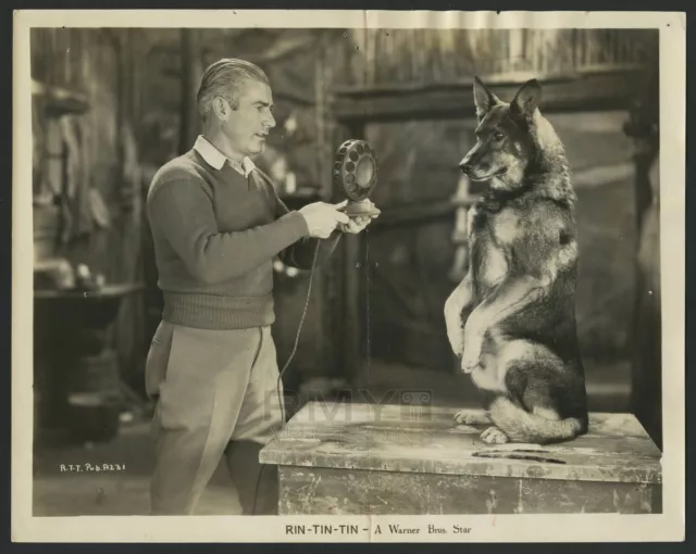 1929 Rin Tin Tin "First Animal Hollywood Star" All Set for Talking Picture Photo