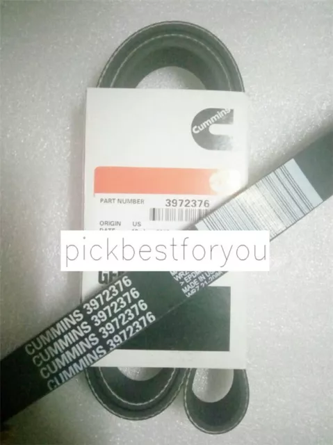 1PCS New 3972376 Cummins Fan Belt #M13C QL