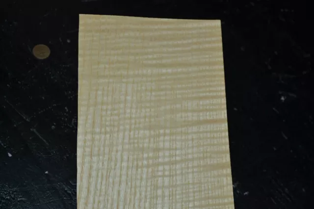 Curly Ash Raw Wood Veneer Sheet 5 x 38 inches 1/42nd thick              L2308-30