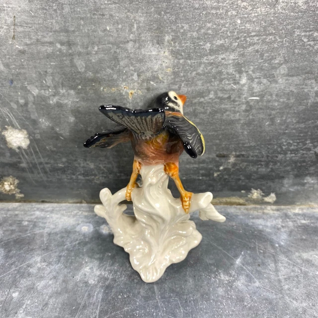Oiseau en porcelaine de Goebel, céramique allemande, début XXème 4