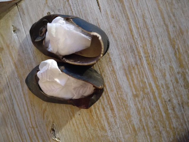 Paire de chaussures anciennes cuir  pour poupée ancienne Jumeau Steiner ou autre 3