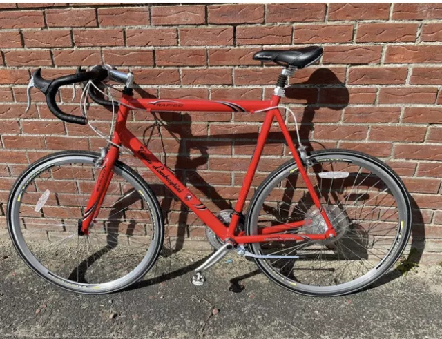 Camino lamborghini bike top