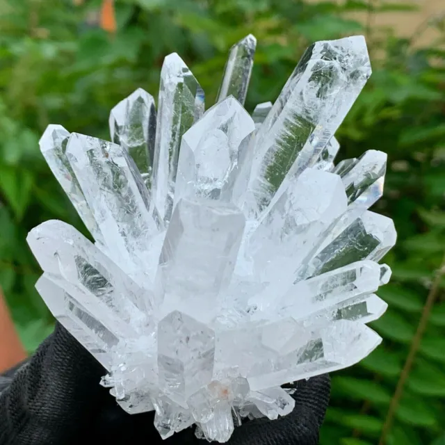 New Find White Phantom Quartz Crystal Cluster Mineral Specimen Healing300g+/1pcs