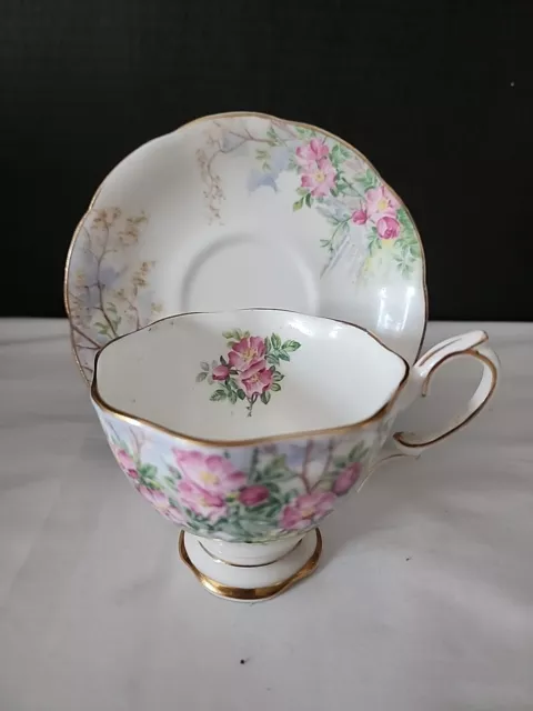 Vintage Royal Albert "Wild Rose" Tea Cup and Saucer Bone China made in England