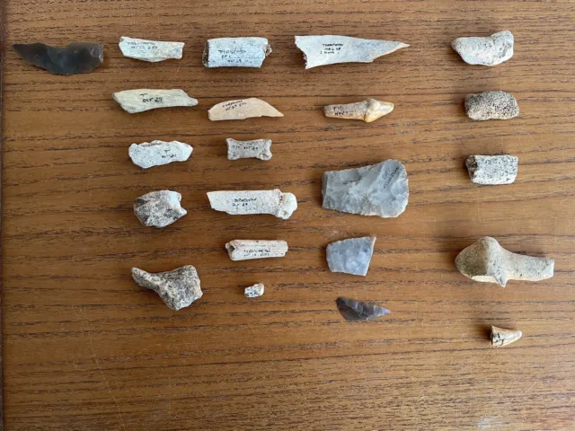 Fossil Bones Teeth Flint Tools Three Holes Cave Tornewton