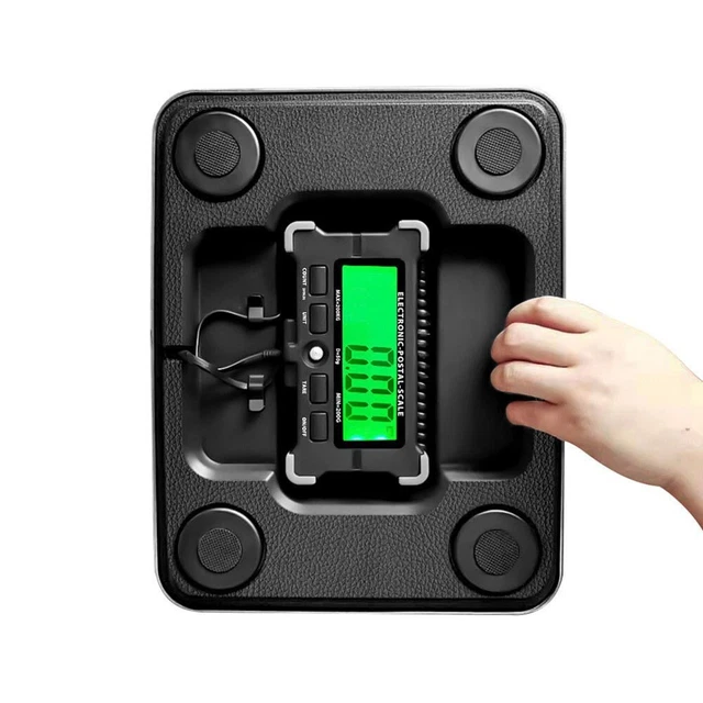 Balance de banc en acier inoxydable de précision pour pesage détaillé des obj