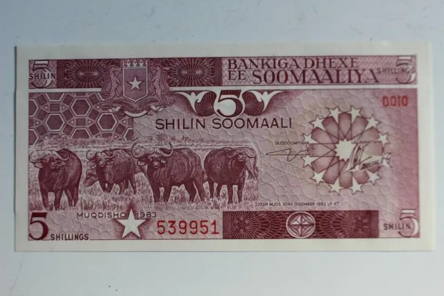 Banknote 5 Shillin (shillings) Somalia 1983 mint (42083)